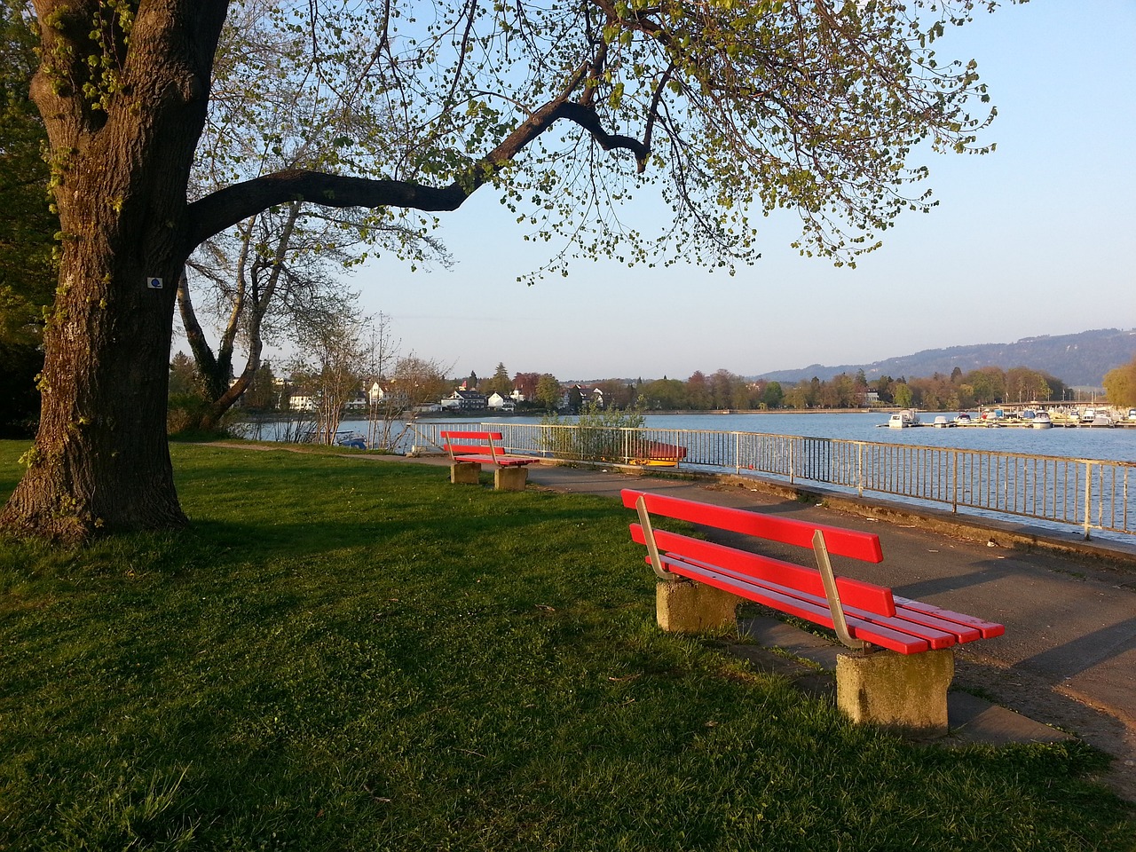 伯纳乌正等 伯纳乌正等