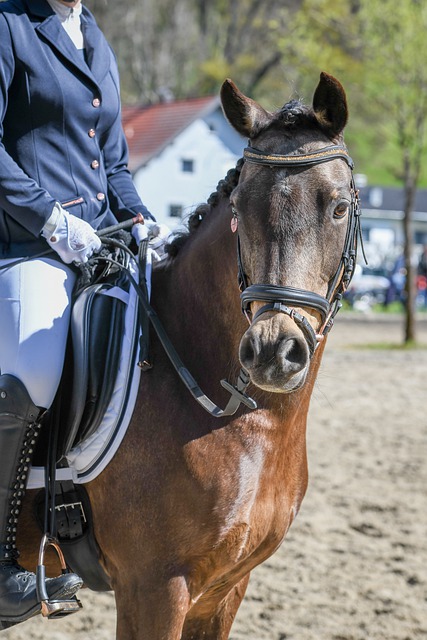 而且通过精 而且通过精