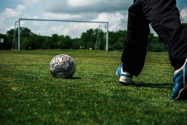 文章以欢乐 文章以欢乐