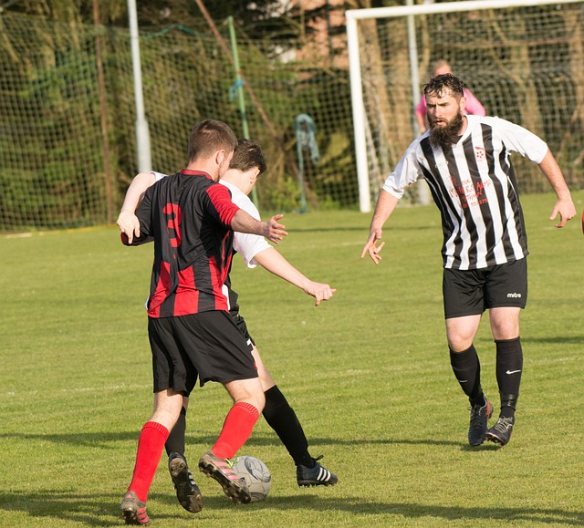 观众不仅能 观众不仅能