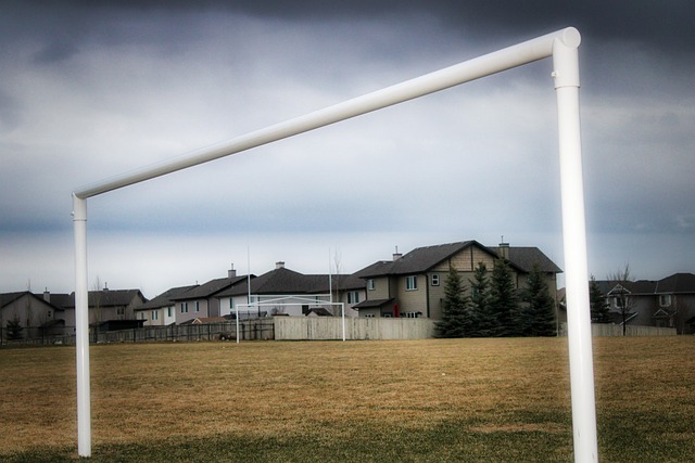 远规划无疑 远规划无疑