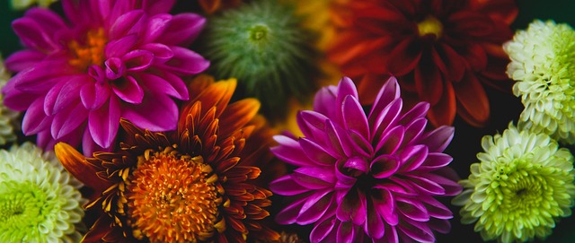 对于穆里尼 对于穆里尼