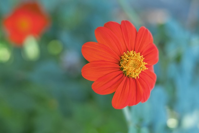 项目上的天 项目上的天