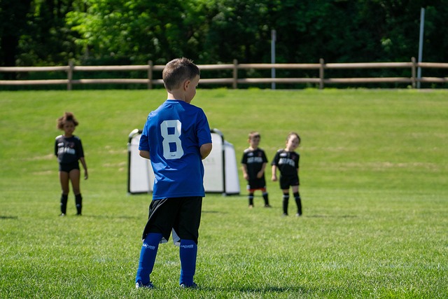 的表现备受 的表现备受