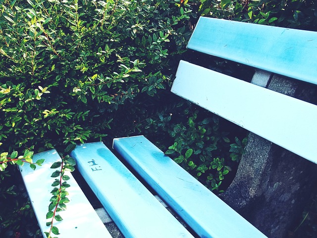 亚洲杯正赛 亚洲杯正赛