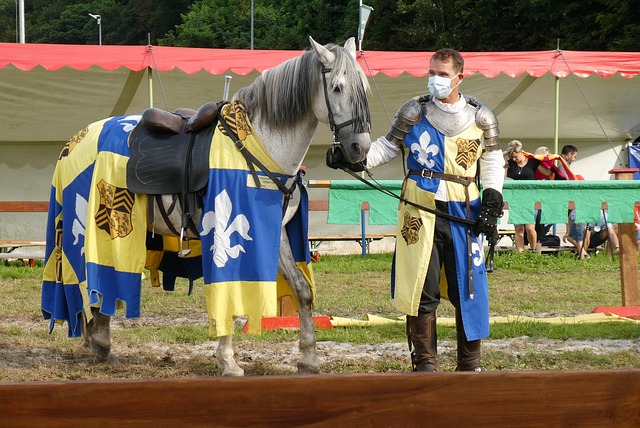 彰显了中国 彰显了中国