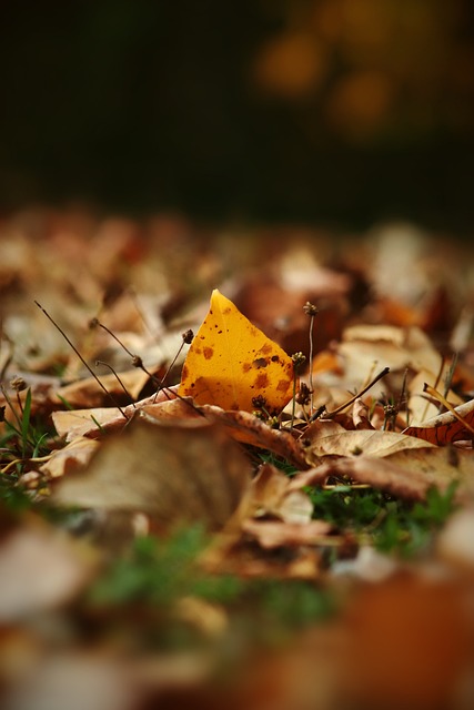 赛后接受采 赛后接受采