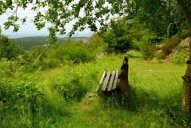 帮助用户更 帮助用户更